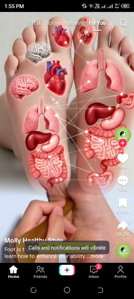 Hy all hru Sab achy log ayn