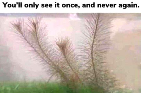 Beautiful place samandr kinare💞🔥🌹