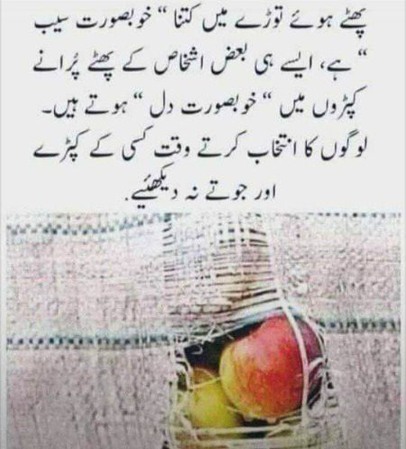 🍁Zoq_Shab🍁