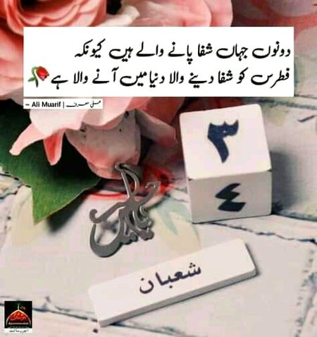 Islamic Quotes image