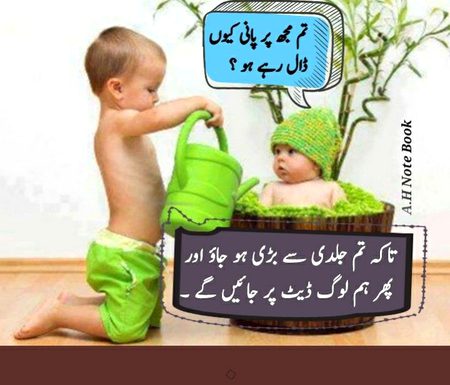 Memes & Satire image