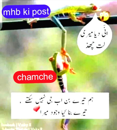 Damadam Roasting image