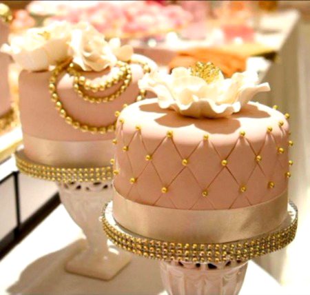 Come and eat cake🥧🥧🥧