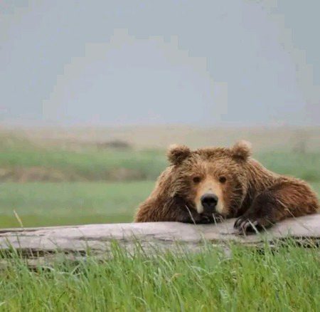 قدرت نے جو لکھے ہیں وہ کُتبے پڑھا کرو
مہنگی ہیں گر کتابیں تو چہرے پڑھا کرو_!!
🖤