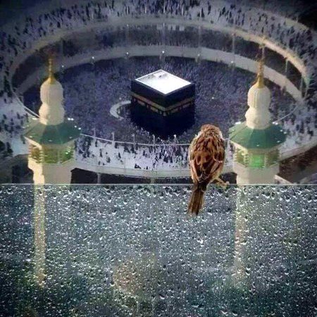 Beautiful Structures image