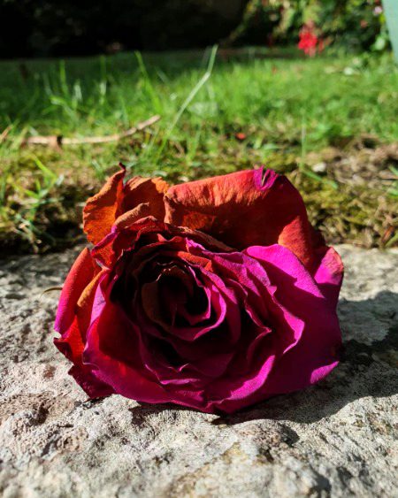 Beautiful Nature image