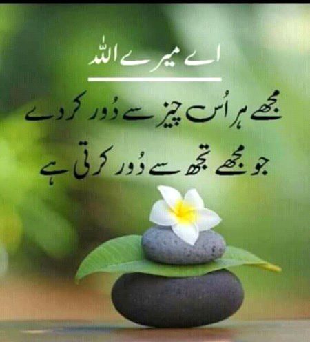 Islamic Quotes image