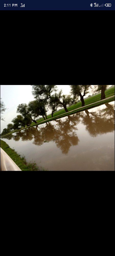 Beautiful Nature image