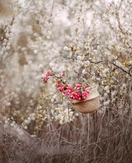 ہم بھی کن جنگلوں میں  بستے ہیں
بند جن کے تمام رستے ہیں