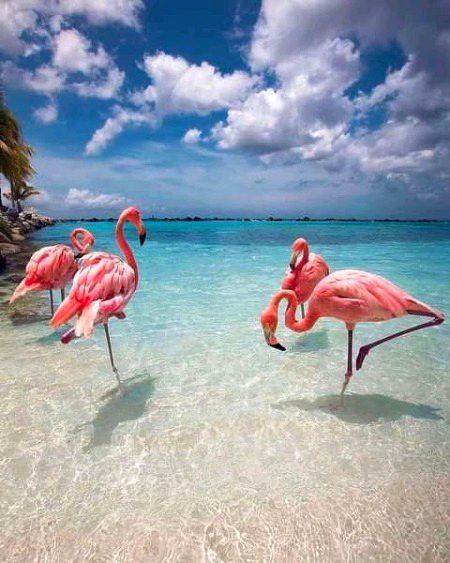 Beautiful Nature image