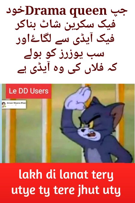Damadam Roasting image