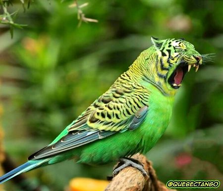 Beautiful Nature image