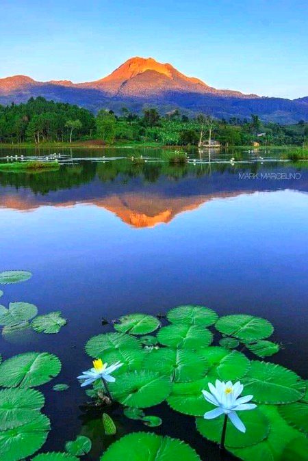 Beautiful nature