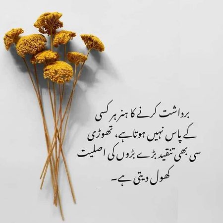 No caption