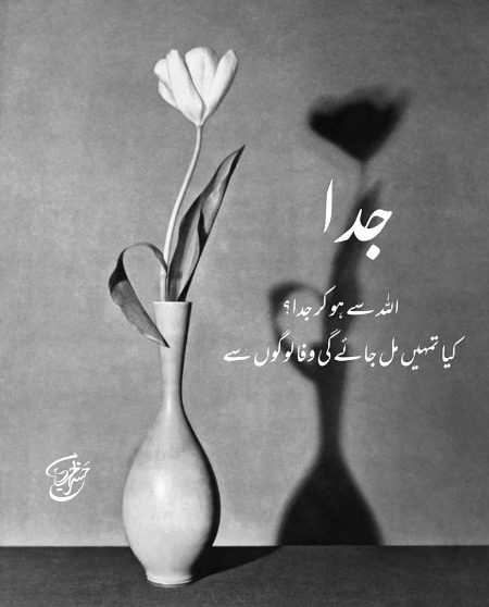 Kbi be nahi log me wafa nahi hai 💯🔥✌