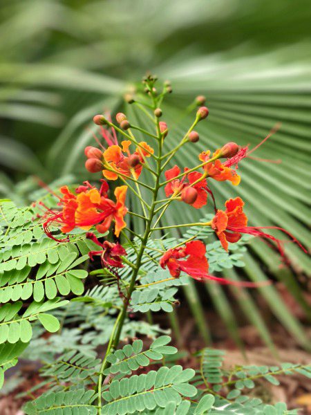 Beautiful Nature image