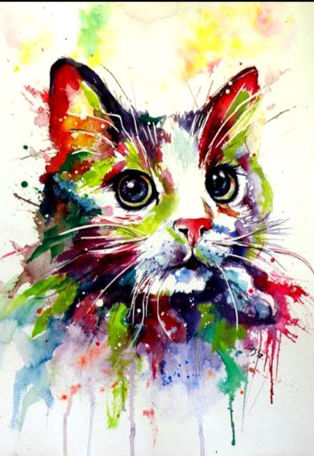 Cat 🙀 art 🎨