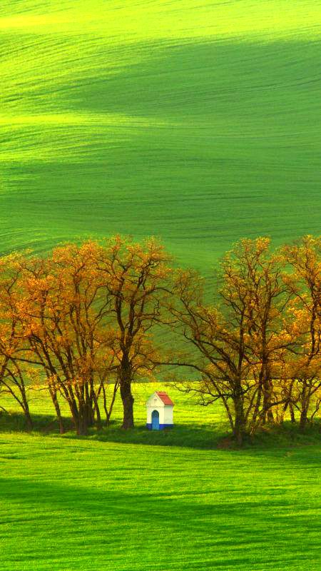 Beautiful Nature image