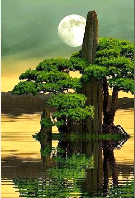 Beautiful Nature image