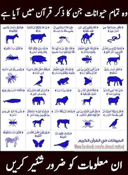 Tips for Students image