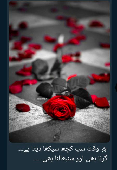 تجھ سے بچھڑے ہیں تو اب ہوش نہیں کب چاند ہوا کب عید ہوئی