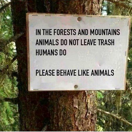 Life Advice image