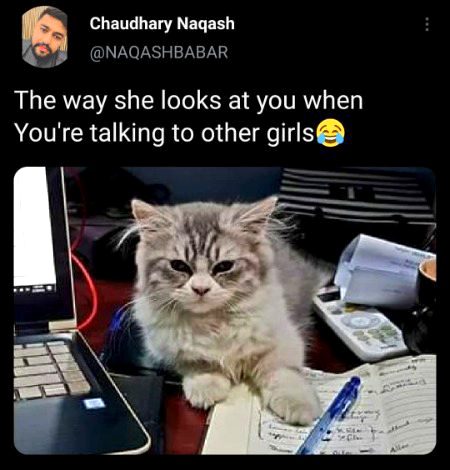 Memes & Satire image