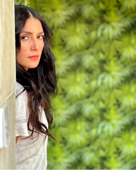 Pakistani Celebs image