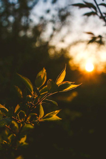 Beautiful Nature image