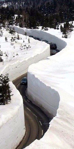 Beautiful Nature image