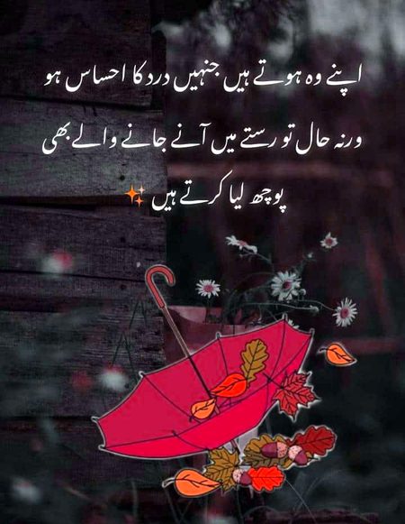 Life Advice image