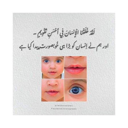 💗💓🥀🍁ALLAH is best creator