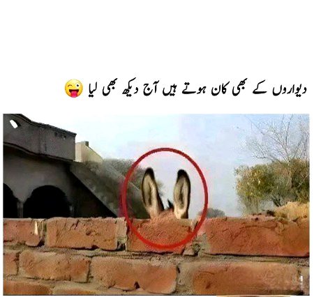 Memes & Satire image