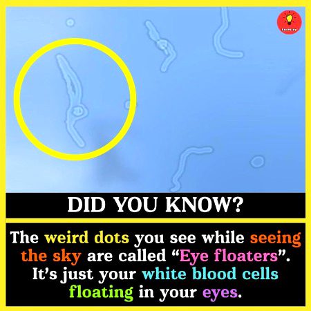 Interesting Posts image