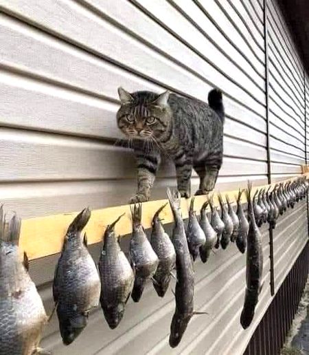 Beautiful Nature image