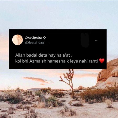 Beshak❤️