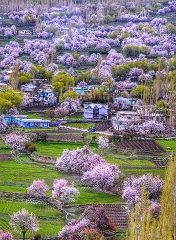 Beautiful Nature image