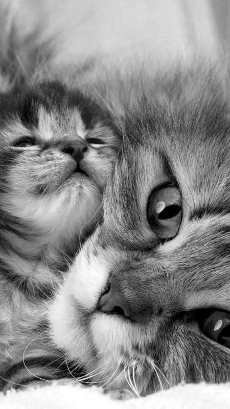 Beautiful Nature image