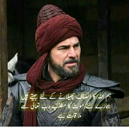 Turkish Celebs image