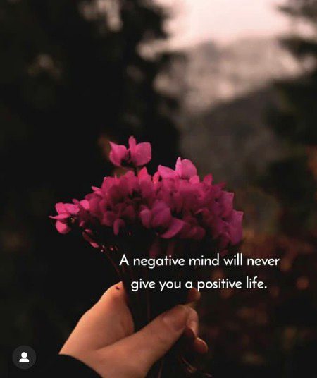Life Advice image