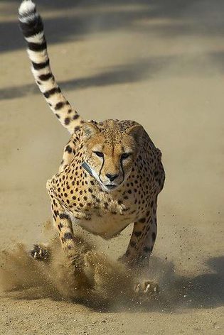 Beautiful Nature image