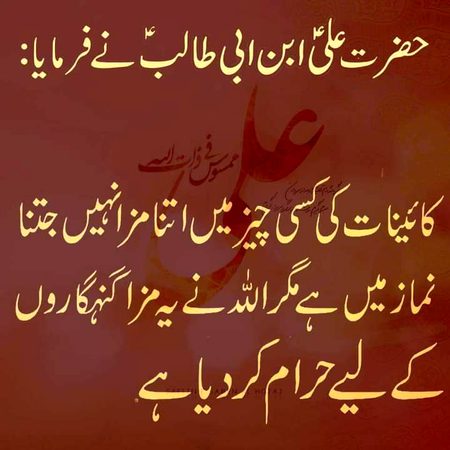 Islamic Quotes image