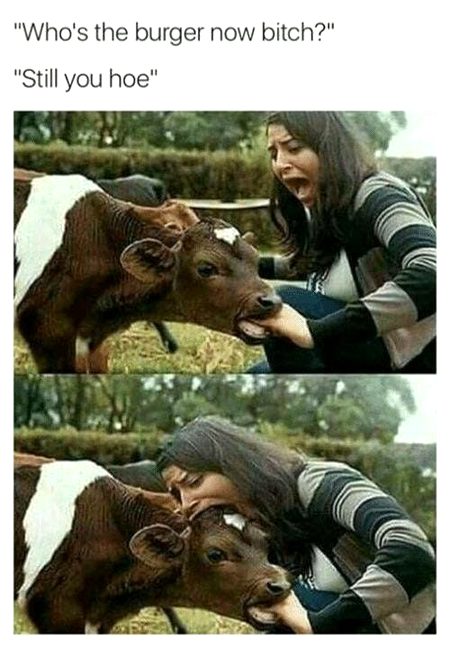 Memes & Satire image