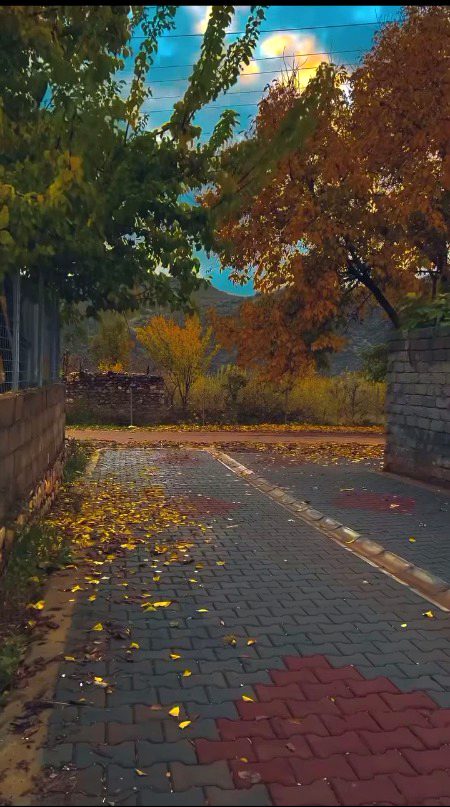 Beautiful Nature image