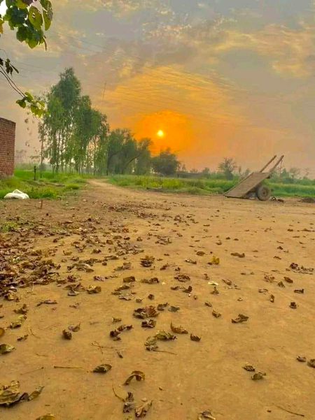 Beautiful Nature image