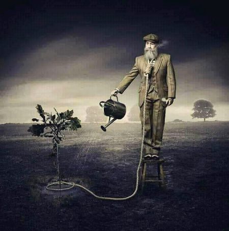 پھانسی کا انتظار تھا اس قدر مجھ کو.. 
  پودے کو پال رہا ہوں اولاد کی طرح..
