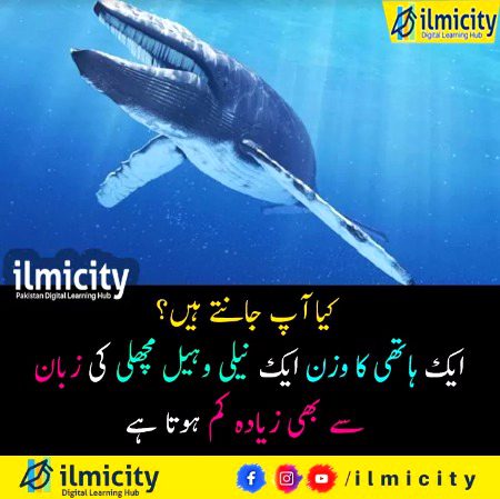 Interesting Posts image