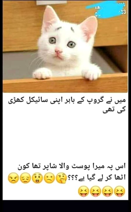 Memes...