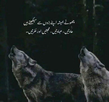 True line❤