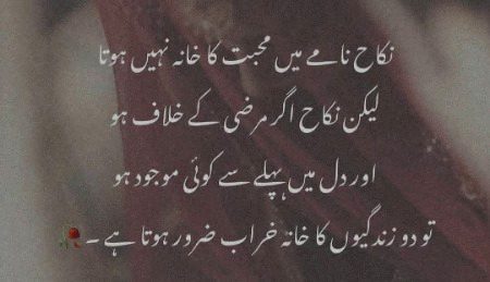 محبت کی ہے تو وفا بھی کریں گے 
زندگی رہی تو نکاح بھی کریں گے 
❣️